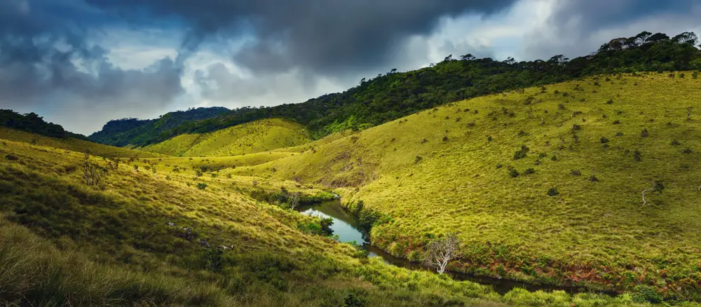 Horton Plains