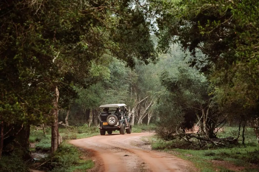 Wilpattu